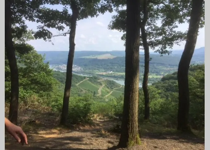 Apartment Forneck Am Rheingoldbogen Brey